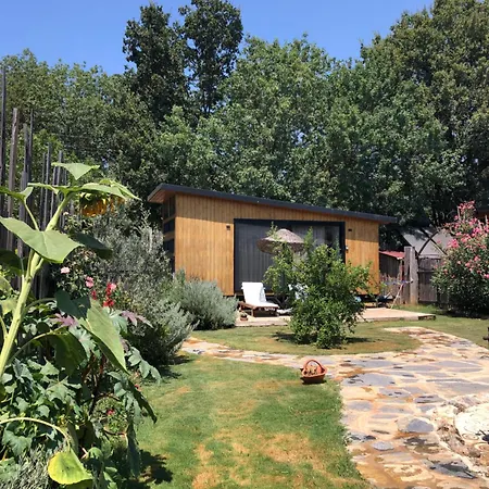 Σαλέ Tiny House Kayakoey Nar